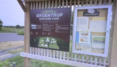 Bruentrup Heritage Farm 3D Model virtual field trip thumbnail