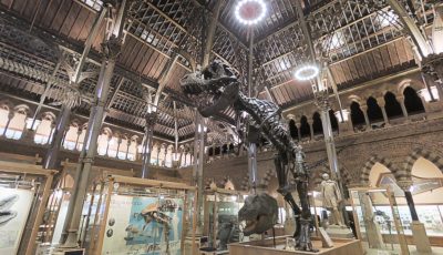 Oxford Museum of Natural History
