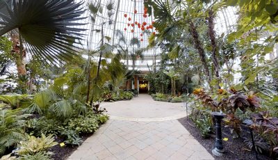 Buffalo Botanical Gardens 3D Model virtual field trip thumbnail