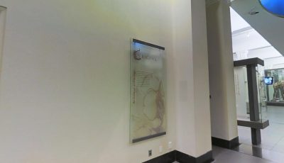 Auckland Museum: Origins 3D Model virtual field trip thumbnail
