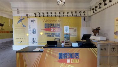 Wollaton Hall: Dinosaurs of China
