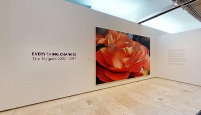 Newcastle Art Gallery: EVERYTHING CHANGES by Tim Maguire