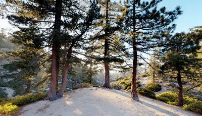 San Bernardino National Forest | Keller Peak Yellow Post Sites