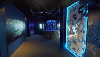 Maritime Aquarium at Norwalk 3D Model virtual field trip thumbnail