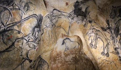 Chauvet Cave – Lion Panel 3D Model virtual field trip thumbnail