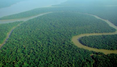 Amazon Rainforest 3D Model virtual field trip thumbnail