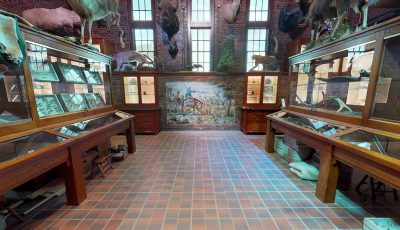 Toledo Zoo: ProMedica Museum of Natural History – Nature in Hand Exhibit