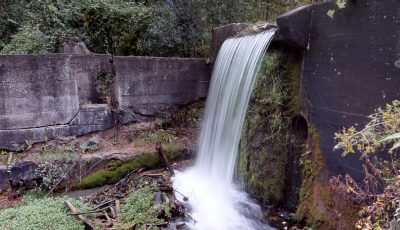 Paradise Springs Nature Trail