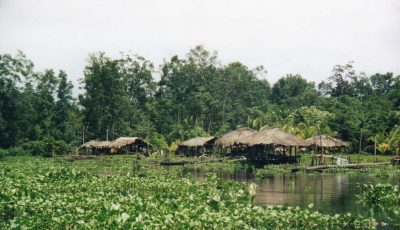 Warao Indians