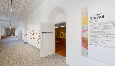 Regional Museum and Gallery in Most: Josef Honys
