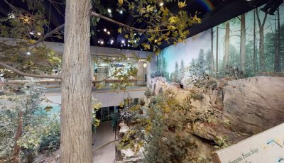 North Carolina Museum of Natural Sciences: Mountain Cove