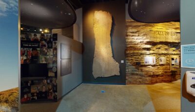 Raymond M. Alf Museum Of Paleontology