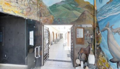 Museo De Cabo San Lucas