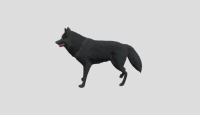 Black Wolf 3D Model virtual field trip thumbnail