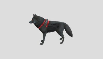 Blackwolf 3D Model virtual field trip thumbnail