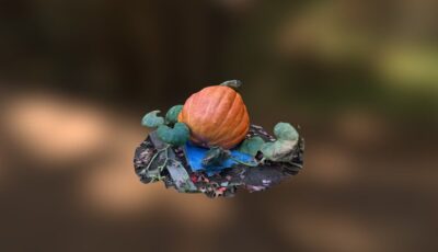 210lbs Pumpkin 3D Model virtual field trip thumbnail